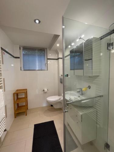 a bathroom with a glass shower and a toilet at 4 bedrooms and 2 bathrooms plus kitchen and terrace- 10 min to fairground in Düsseldorf