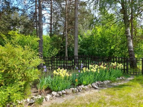 um jardim com flores em frente a uma cerca em VB Domum Hospitum em Krāslava