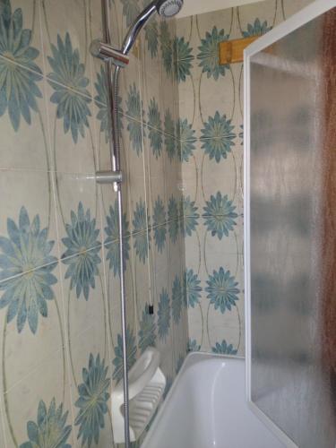 a bathroom with a tub with blue flowers on the wall at B&B L'Orchidea in Pisa