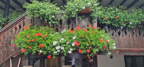 a hanging flower box with red and white flowers at Стаи за гости The Old House in Velingrad
