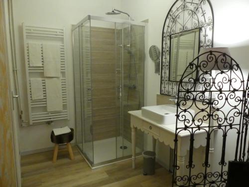 W łazience znajduje się prysznic, umywalka i lustro. w obiekcie Le 9 en Cuisine w mieście Rabastens