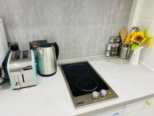a kitchen counter with a stove and a toaster at Lovely HotelStyle Apartment - Central London in London