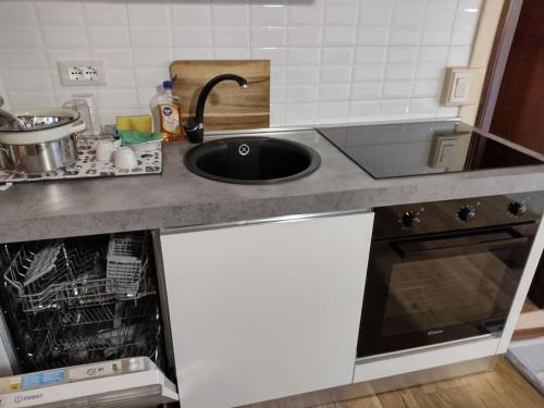 a kitchen counter with a sink and a stove at Il Guscio in Corsanico-Bargecchia