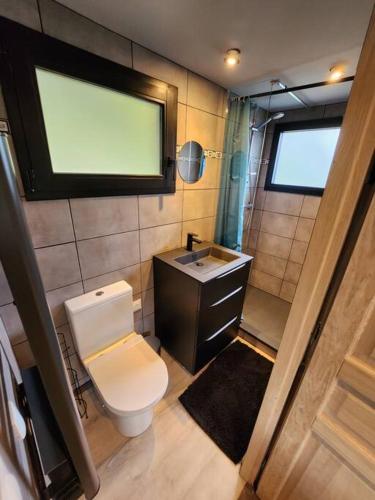 a small bathroom with a toilet and a sink at Les Nids chalet 6 in La Lechere