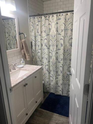 a bathroom with a sink and a shower curtain at Cute house in quiet neighborhood in Saginaw