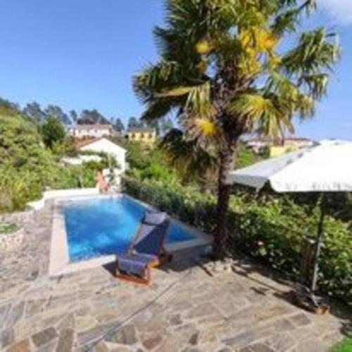 a pool with a palm tree and a chair and a umbrella at Casa de Férias completa com Piscina privada, Casa do Vale - DOURO, independente, vistas deslumbrantes in Vilar de Maçada