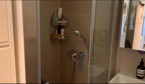 a shower with a glass door in a bathroom at Wohnung in Zürich Kreis 3 befristet in Zurich