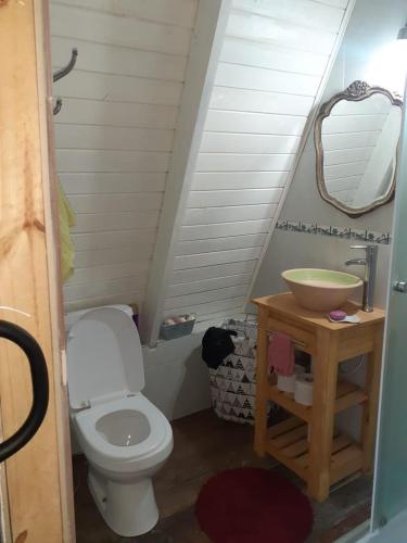 a bathroom with a toilet and a sink at Ala de Colibri in Ramallo