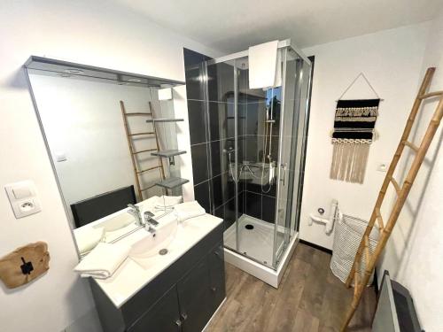 a bathroom with a sink and a glass shower at Au nid des remparts à Eguisheim in Eguisheim