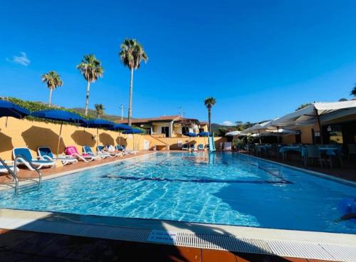 une grande piscine avec des chaises et des palmiers dans l'établissement Residence Alithai, à Portoferraio