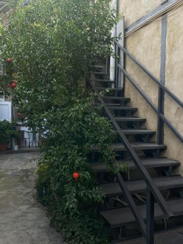 Imagen de la galería de Natali, en Tiflis