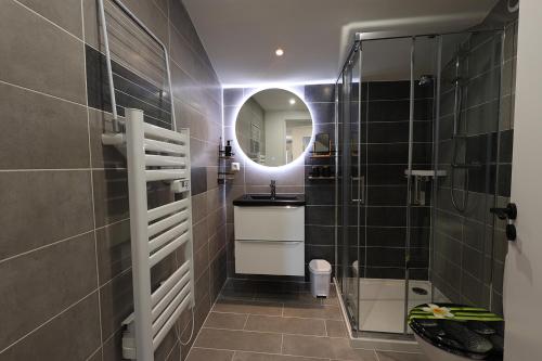 een badkamer met een wastafel en een spiegel bij L'Ambre - 1 à 4P - Wifi Fibre - Parking Gratuit in Pont-dʼAin