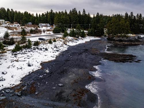 Gallery image of THE SHORELINE #5- Beach Access, Ocean Views, Private in Kodiak