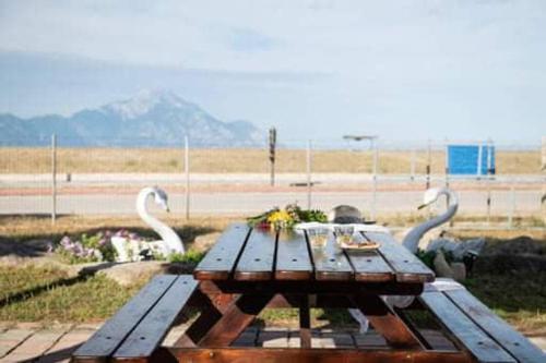 a picnic table with swans in a field at Malama Rooms in Sikia