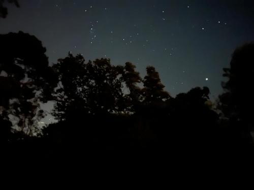 a starry night with trees in the foreground at South Lodge House in Dormans Land