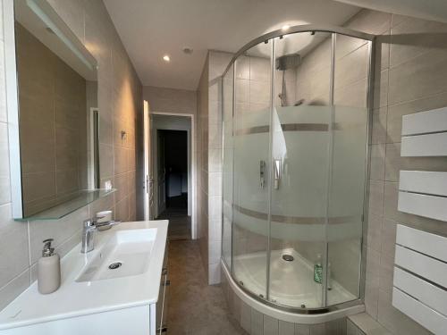 a bathroom with a shower and a sink at LA MAISON D'EULALIE in La Chapelle-du-Bard