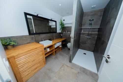 a bathroom with a sink and a shower and a mirror at La maison du Port Apt ROMA in Marseillan