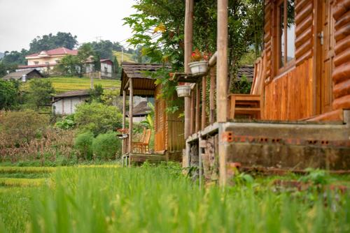 a house sitting in a field of tall grass at SaPa Farmer House in Sa Pa