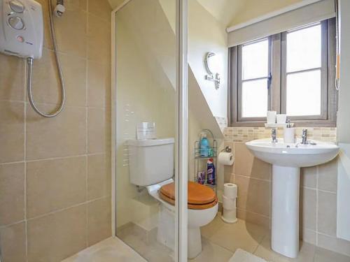 a bathroom with a toilet and a sink and a shower at Little Lock Cottage in Horsham