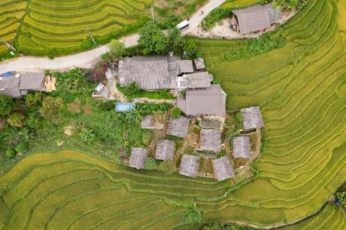 an aerial view of a farm in a field at SaPa Farmer House in Sa Pa
