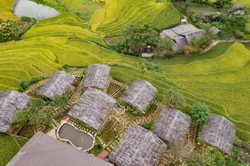 an overhead view of a field of green plants at SaPa Farmer House in Sa Pa