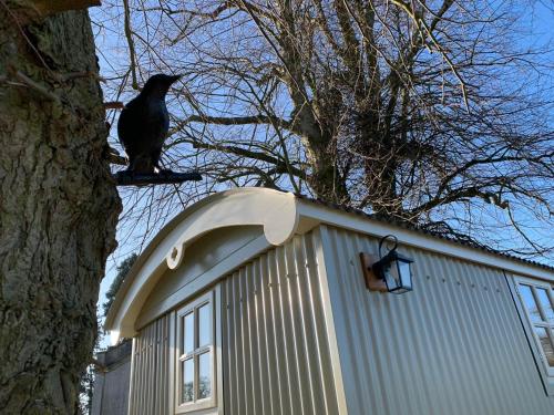 a black cat sitting on the top of a building at Church House Hut in Melton Mowbray