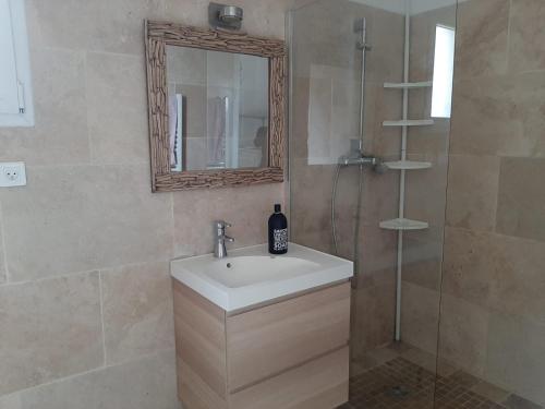 La salle de bains est pourvue d'un lavabo et d'une douche avec un miroir. dans l'établissement Le Paradis de Clarisse, à Trets