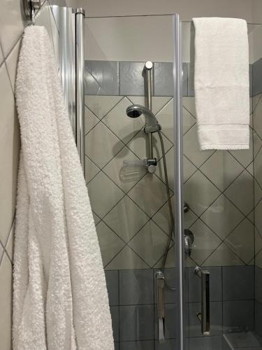 a shower with a glass door and a towel at B&B NoveUnoNoveQuattro in Apollosa
