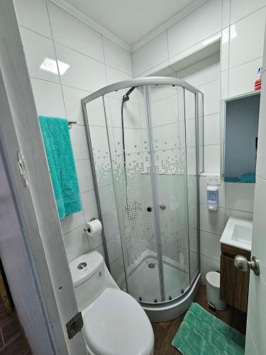 a bathroom with a shower and a toilet and a sink at Guest House Club Hípico in Santiago