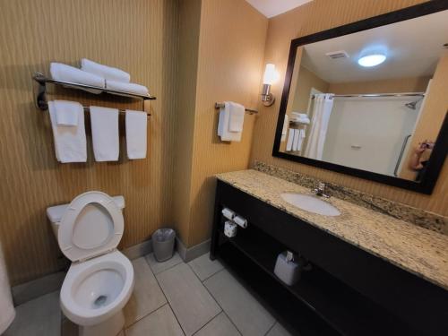 La salle de bains est pourvue de toilettes, d'un lavabo et d'un miroir. dans l'établissement Holiday Inn Express & Suites - Smithfield/Selma, an IHG Hotel, à Smithfield