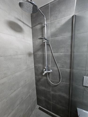 a shower with a shower head in a bathroom at Apartmány Formanka na náměstí in Hustopeče