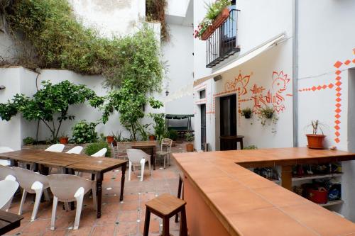 Gallery image of Oasis Backpackers' Hostel Granada in Granada