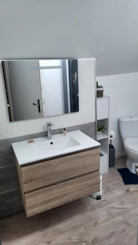y baño con lavabo, espejo y aseo. en PROMISE' LANDES, en Saint-Paul-lès-Dax