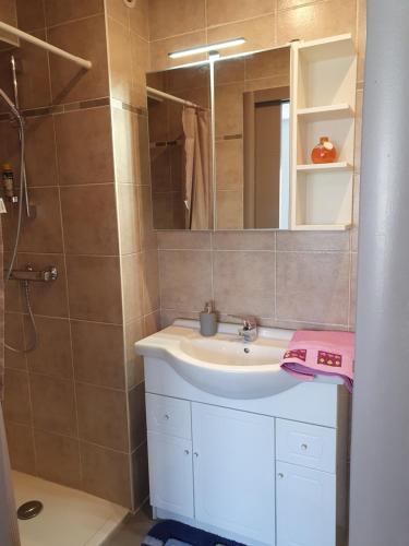 ein Bad mit einem Waschbecken, einem Spiegel und einer Dusche in der Unterkunft Studio cocon in Montbrison