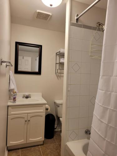La salle de bains est pourvue d'un lavabo, de toilettes et d'un miroir. dans l'établissement Full 1-bedroom apartment, à Saint-Jean