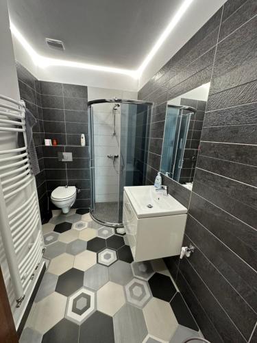 La salle de bains est pourvue d'une douche, d'un lavabo et de toilettes. dans l'établissement Bokorlak 4, à Odorheiu Secuiesc
