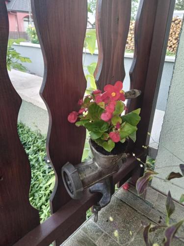 a flower pot on a fence with a plant at Apartman Bepo in Gospić