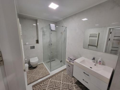 La salle de bains est pourvue d'une douche, d'un lavabo et de toilettes. dans l'établissement Apartment Buiucani, à Chişinău