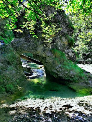 a stone bridge over a stream in a forest at Riverside Guesthouse in Ig