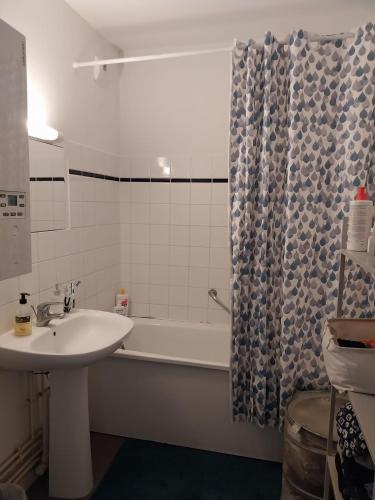 La salle de bains est pourvue d'un lavabo et d'une baignoire. dans l'établissement Charmant appartement T2 parc JB Lebas, à Lille