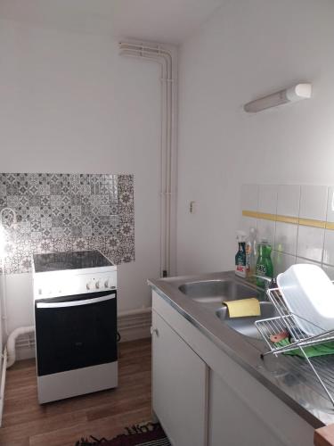 Nhà bếp/bếp nhỏ tại Charmant appartement T2 parc JB Lebas