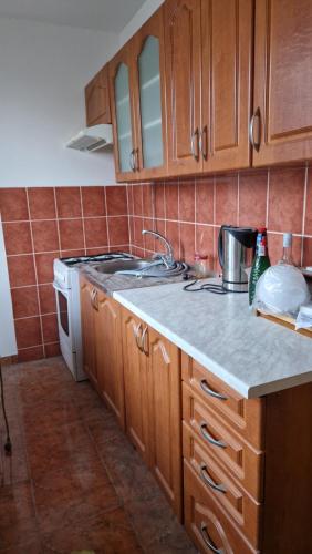 a kitchen with a sink and a stove top oven at Sankt Martin Hostel in Martin