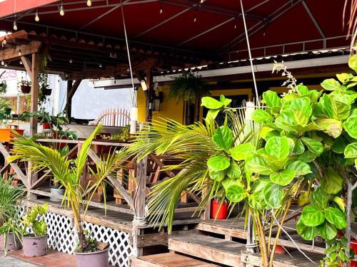 Giardino di Panama House Bed & Breakfast