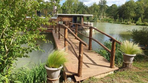 eine Holzbrücke über einen Wasserkörper mit Pflanzen in der Unterkunft Péniche sur un lac in Campsegret