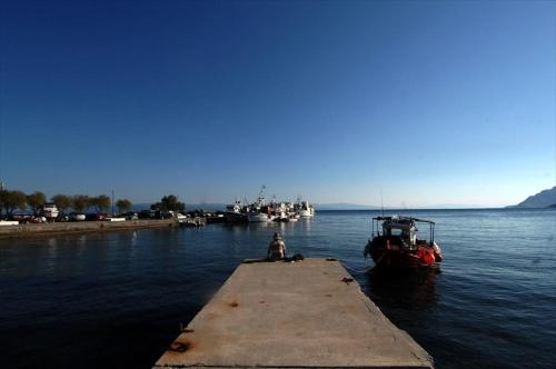 Gallery image of Charoula in Platanias