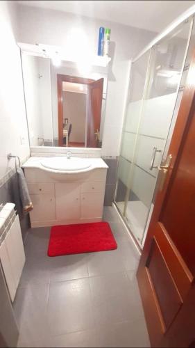 ein Badezimmer mit einem Waschbecken, einer Dusche und einem roten Teppich in der Unterkunft Chuchi house in Ramales de la Victoria