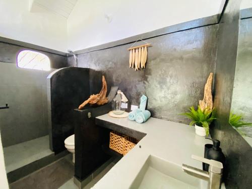 ラス・テレナスにあるVilla Tortuga, Guest house Private bungalow, private poolの洗面台とトイレ付きのバスルーム