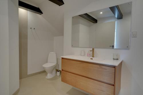 a bathroom with a sink and a toilet at 9 Rooms Amazing Sommerhouse in Børkop