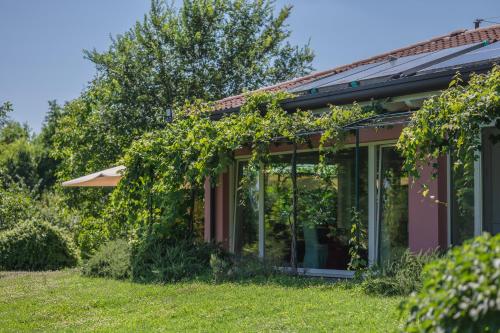 a house with vines growing on the side of it at Settecentoalberi Agriturismo in Noventa di Piave