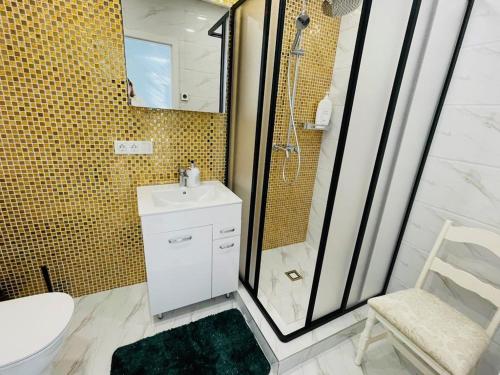 a bathroom with a shower and a sink and a toilet at Baltijos apartamentai in Klaipėda